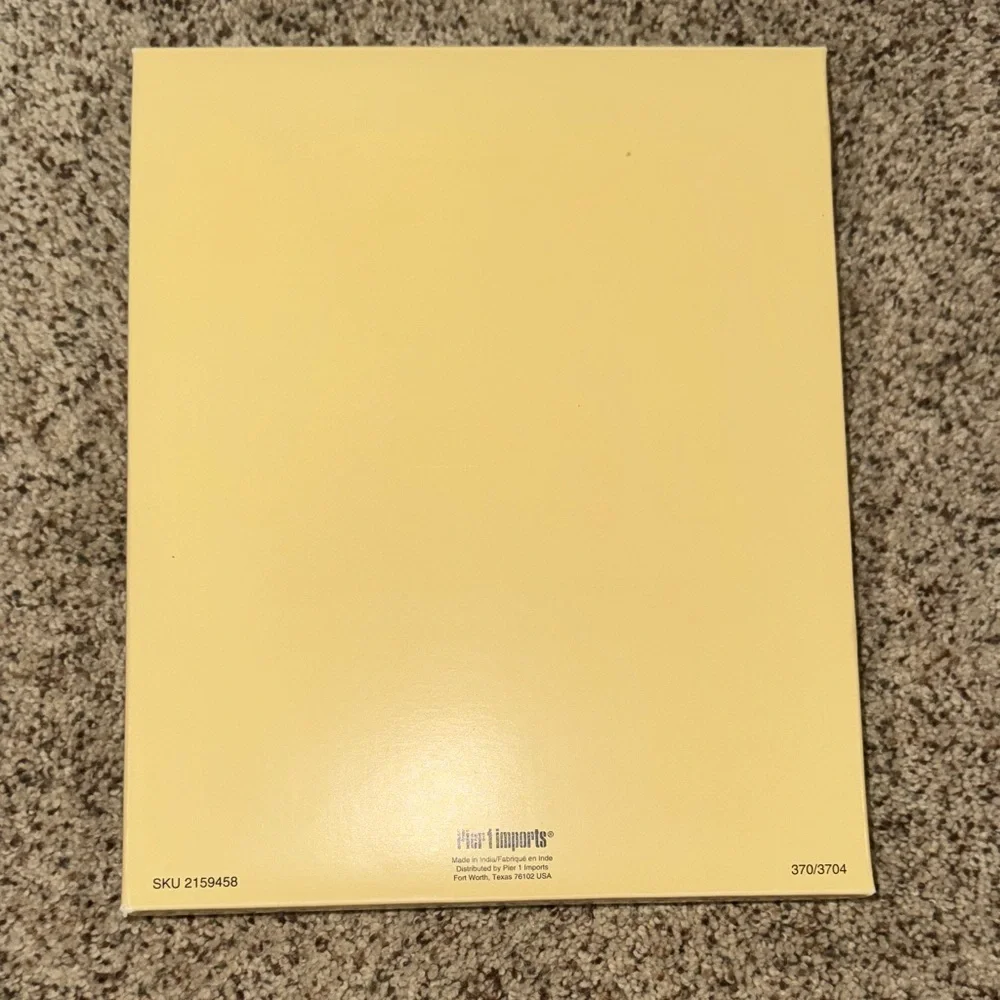 Pier 1 imports Silver Frame